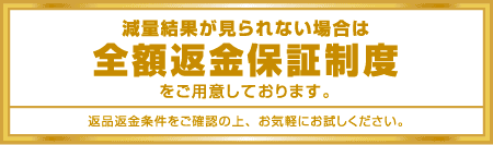 全額返金保証
