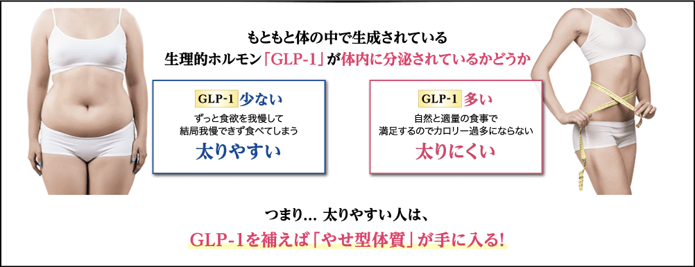太りやすい人はGLP-1を補えば痩せ型体質が手に入る！